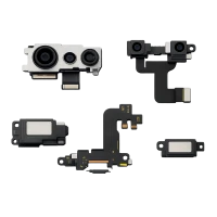 Repuestos y Accesorios (258)