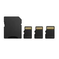 Tarjetas de Memoria (17)