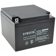 Sealed Lead Battery Sy24-12 12v/24ah Rechargeable 175x124x165mm