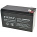 Rechargeable Lead Battery SY9-12 12V9Ah Alarms, Scales, Toys