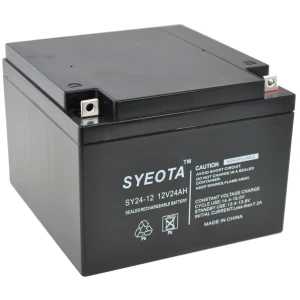Songyuan Bateria Plomo Sellada 12V 24Ah SY24-12 Recargable y de Alto Rendimiento