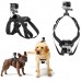 Hond Hond ophalen Harnas Borstriem voor GoPro Hero 4 3+3 2Camera ACTION CAMERAS  14.00 euro - satkit