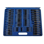 Vista de machos y terrajas métricas del kit de 110 piezas TSX TOOL