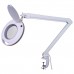 Lamp 5X optisch vergroten Magnifiers  31.00 euro - satkit